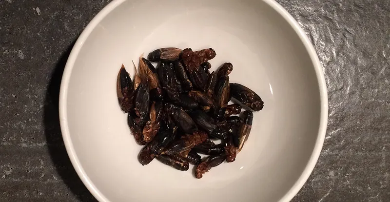 verzehrfertige Grillen