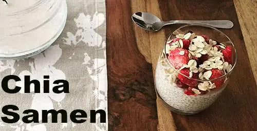 3 leckere Chia Samen Rezepte