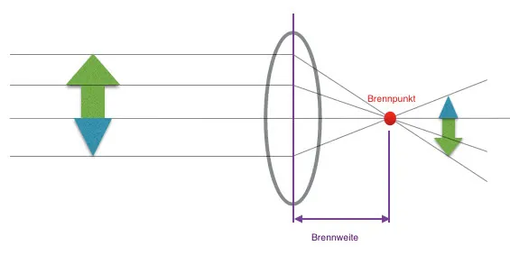 Brennweite : die Physik