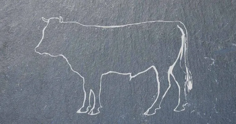 Beef Cut Guide: das Rumpsteak