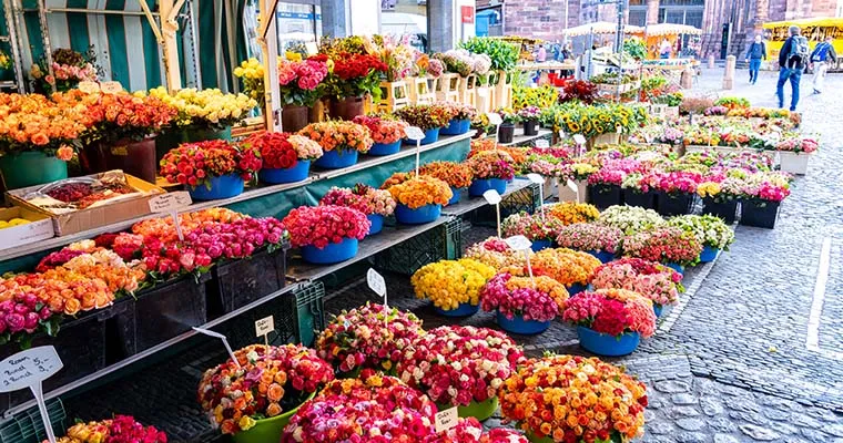 Münstermarkt Freiburg - Blumen