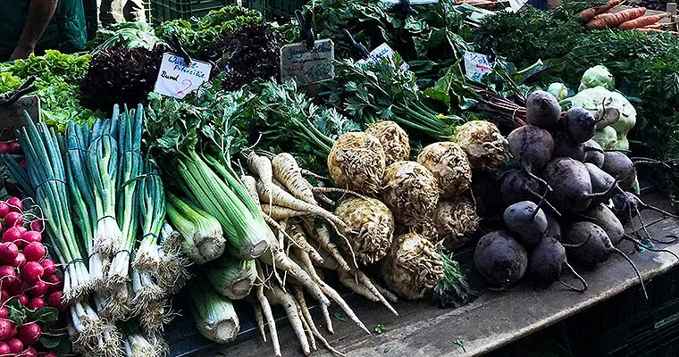 Münstermarkt Freiburg - Gemüse