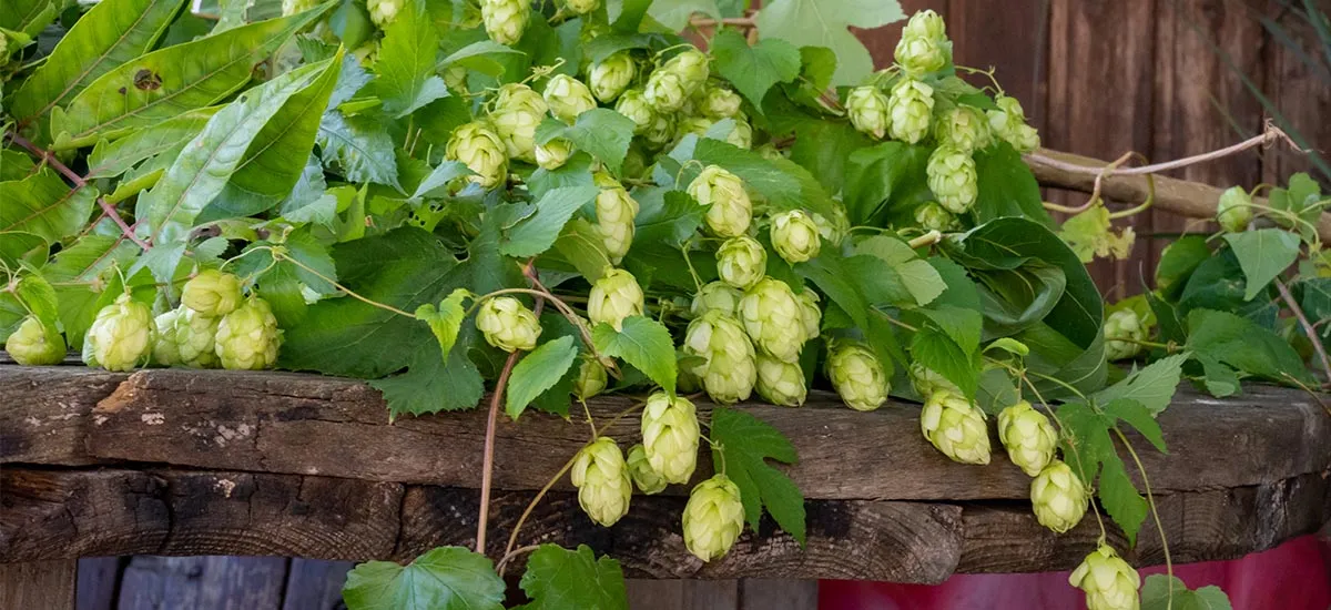 Das “Bier & Blog”-Event in Freiburg